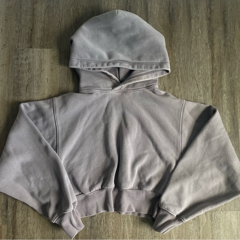 Aritzia TNA Gray Purple Cropped Hoodie